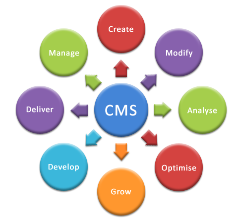 Optimized CMS Hosting